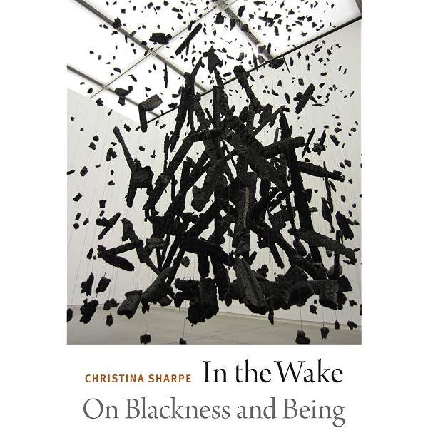 Amazon.com: Becoming Human: Matter and Meaning in an Antiblack